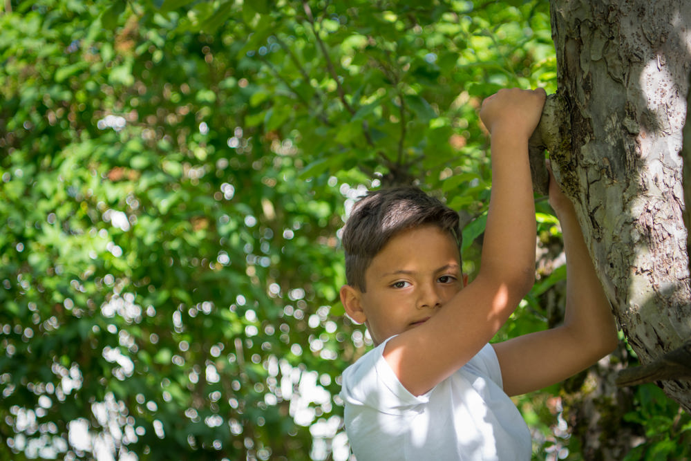 Gutt klatrer i tre